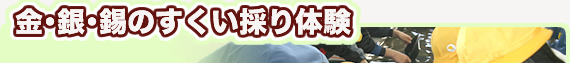 金・銀・銅のすくい採り体験