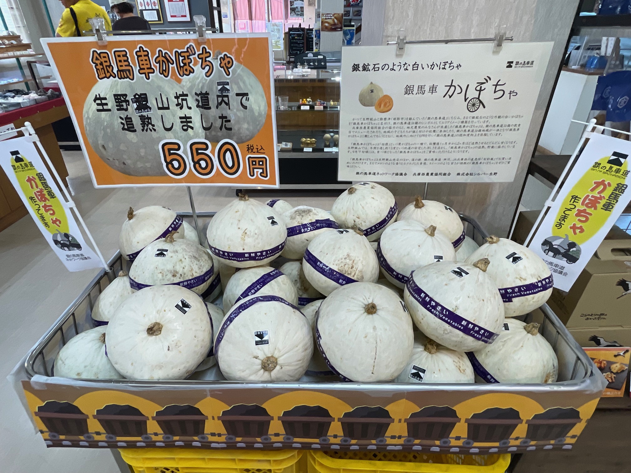 銀馬車かぼちゃ販売開始